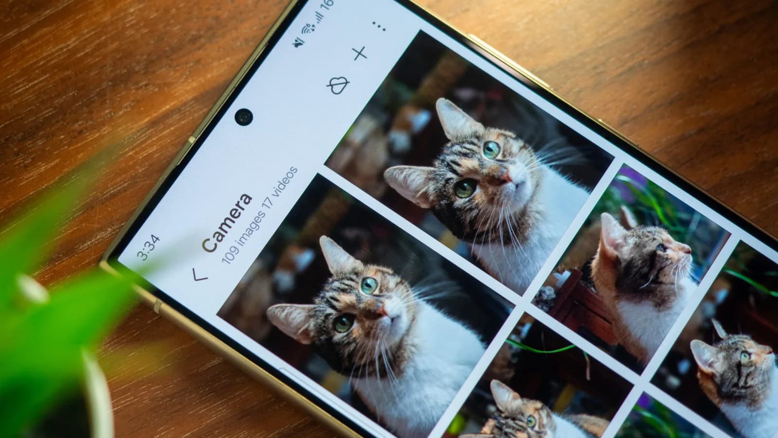 Samsung Gallery 直連 OneDrive 9 月底停用：港行 Galaxy 用家要點搬備份？