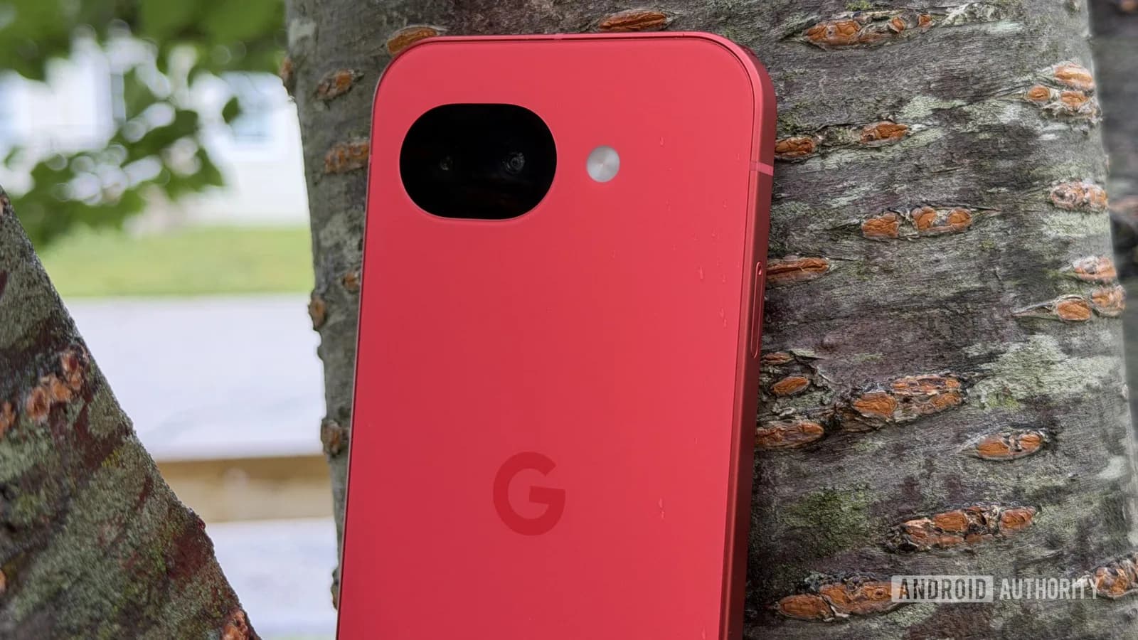 Pixel 11 傳加價至 US$899：Google 確認成本壓力，官價仍未出