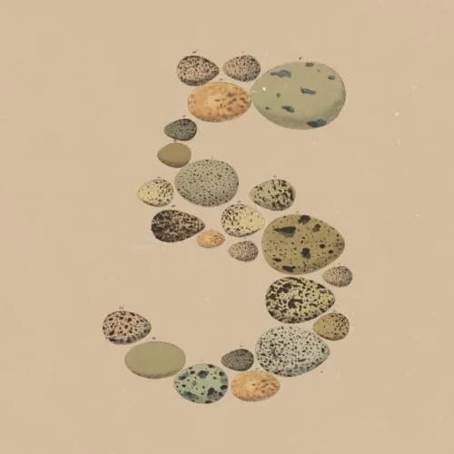 Claude Opus 5 同價升級：token 效率同 Claude Code 實際有咩改變