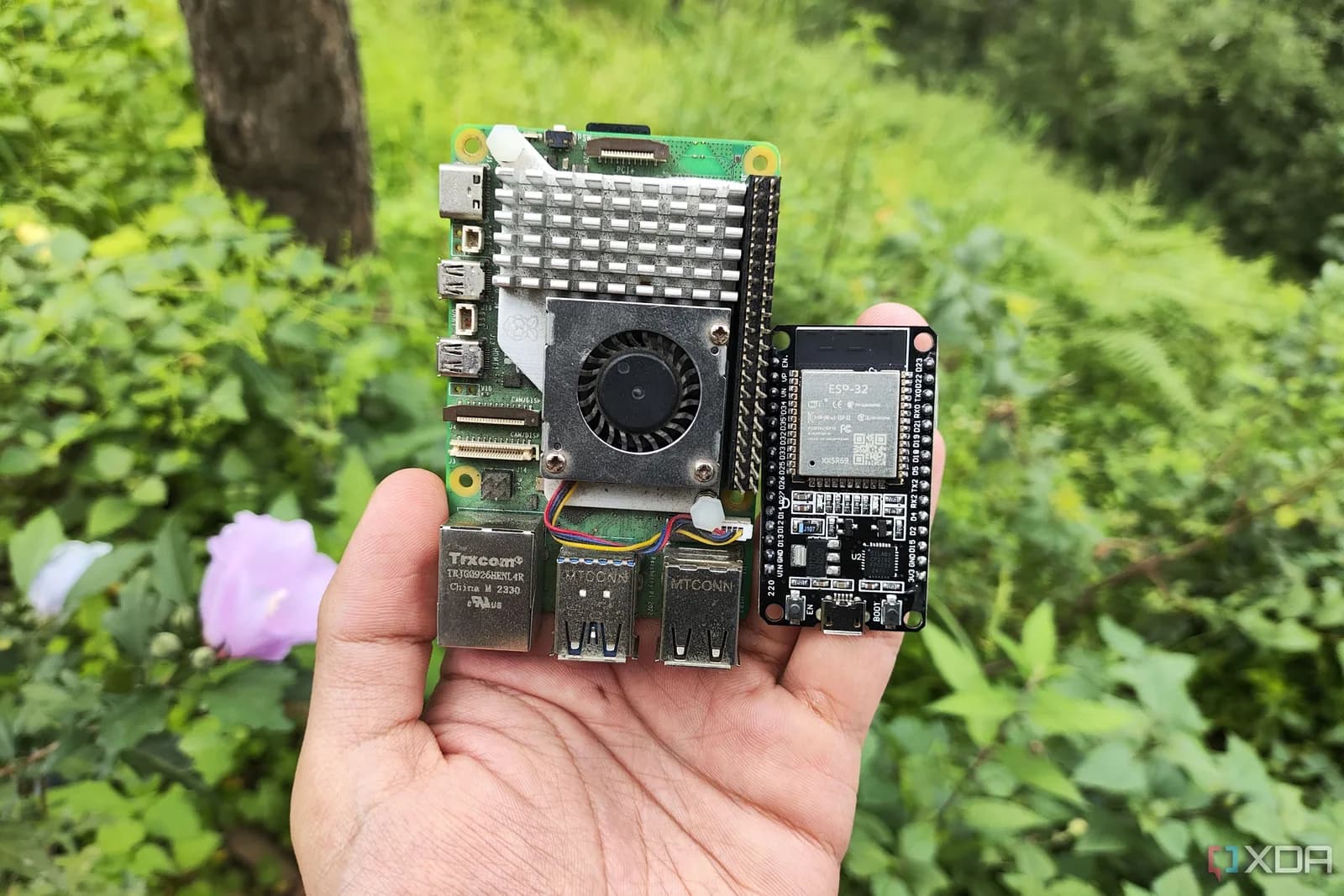 ESP32 定 Raspberry Pi？感應器、Home Assistant 同 server 點揀