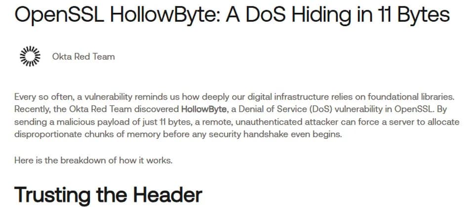 HollowByte 冇 CVE 仲易走漏:OpenSSL server 點查版本同補洞