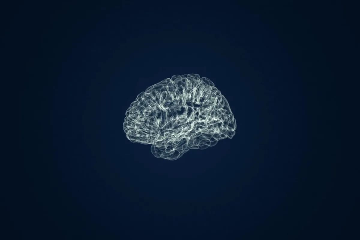 Hemispheric 用 15 分鐘 EEG 讀腦:模型規模搶眼,臨床證據仲要補課