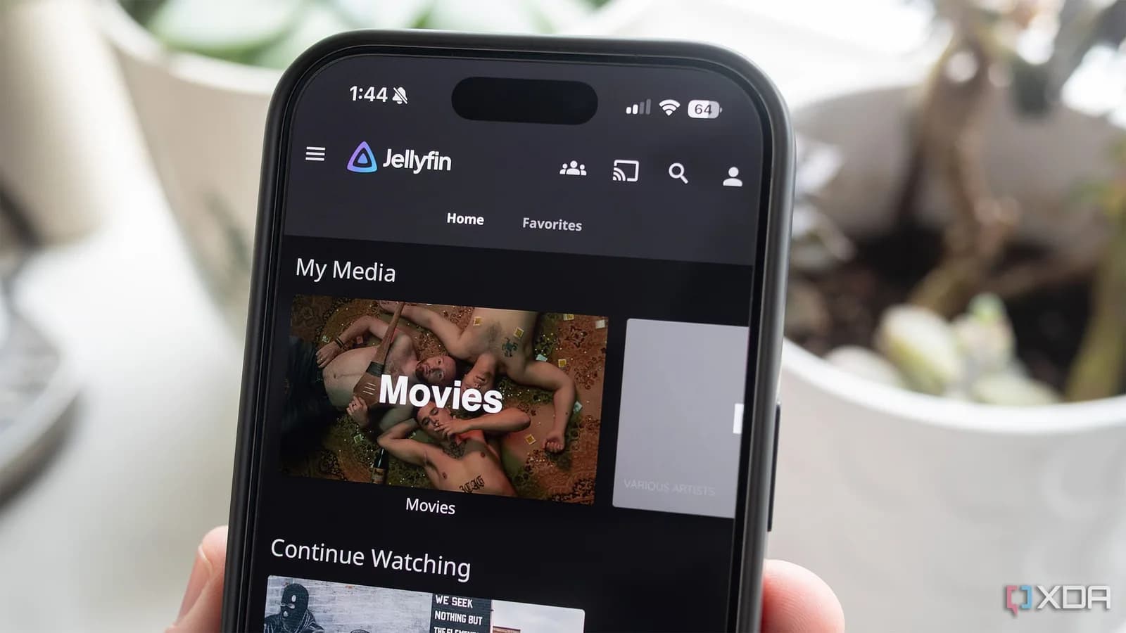 Plex 轉 Jellyfin 值唔值得?媒體庫唔使搬,先搞清 client 同遙距觀看