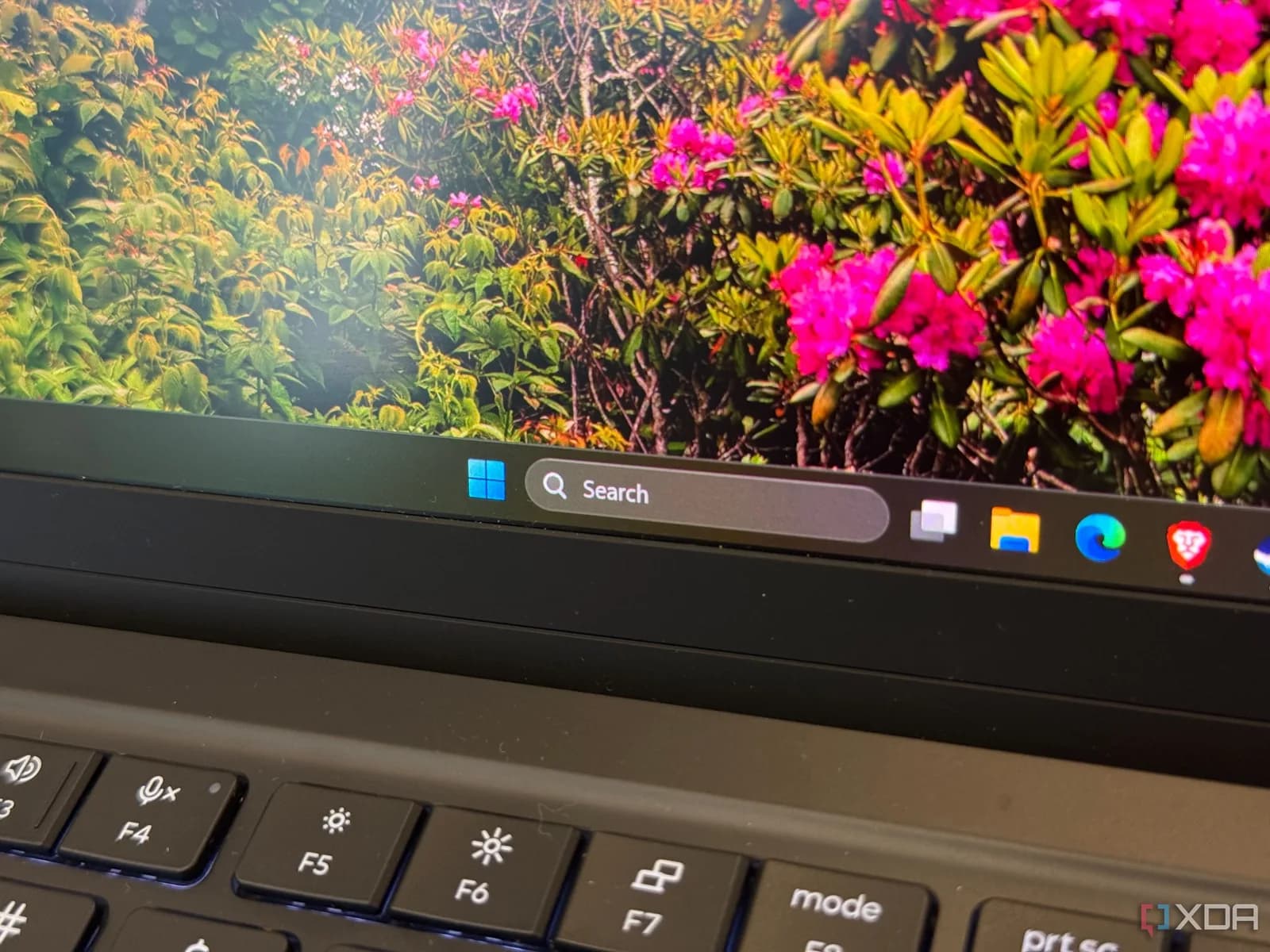 Windows 11 搜尋終於執啱位:本機結果行先,網頁建議可以熄