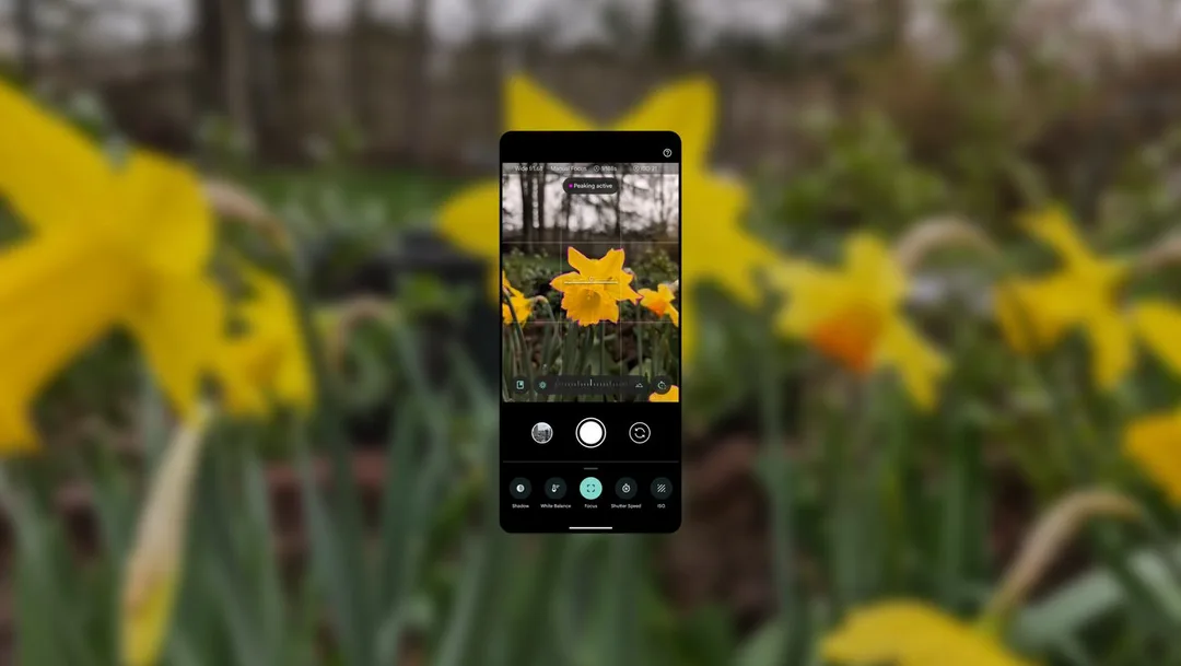 Pixel 8 Pro Pro Controls 示意圖,顯示手機相機手動控制介面