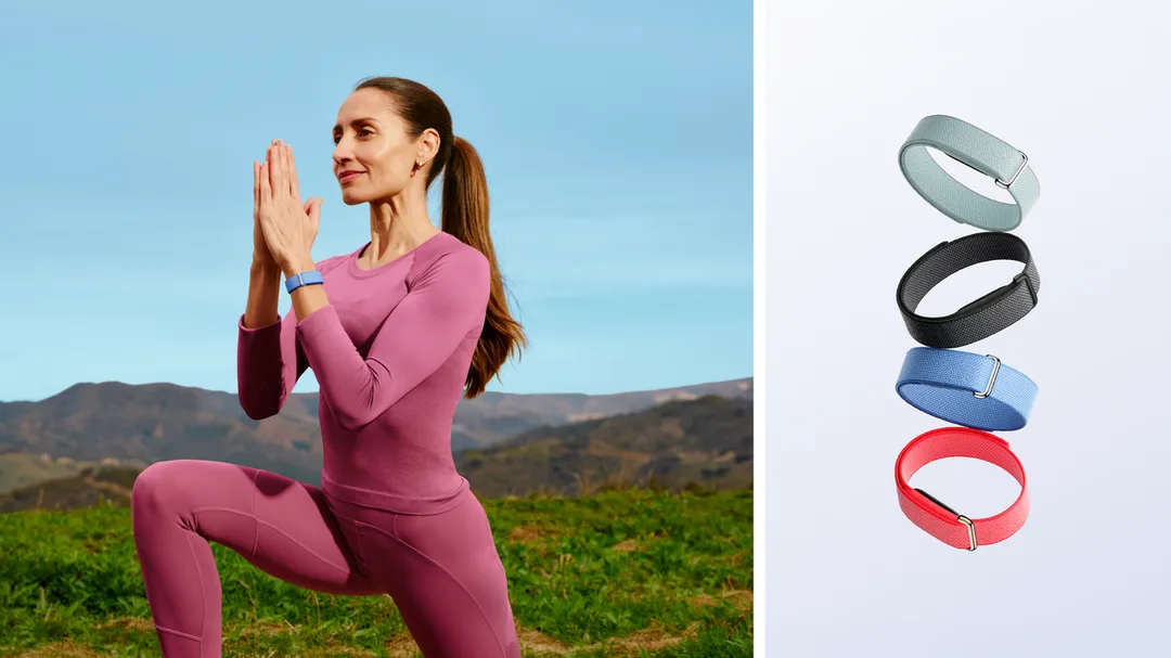 Google Fitbit Air 官方宣傳圖,顯示手環同配色