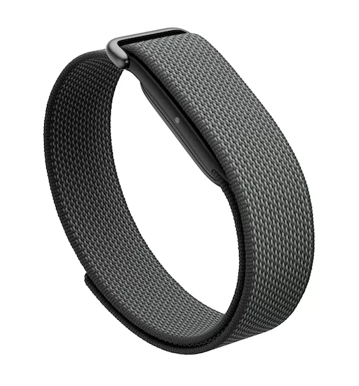 Google 支援頁面入面嘅 Fitbit Air 產品圖