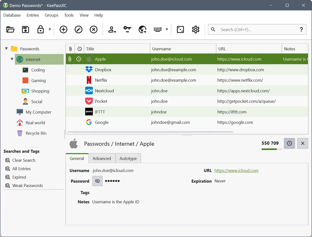 KeePassXC 桌面 app 顯示本機 vault 同登入資料