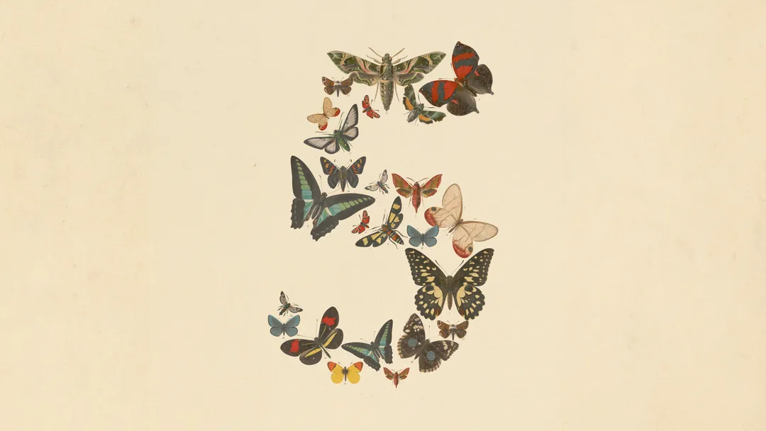 Anthropic 官方 Fable 5 同 Mythos 5 文章入面，用蝴蝶砌成數字 5 嘅主圖