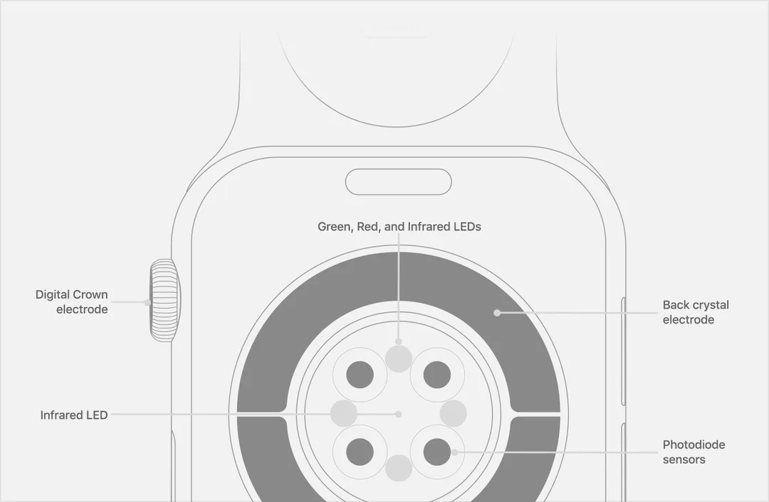 Apple Watch 背面光學心率同電極 sensor 標示圖