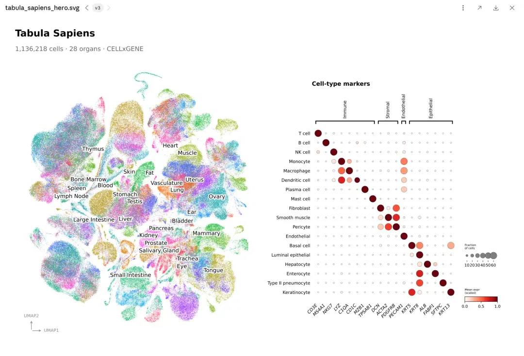 Claude Science 單細胞 RNA-seq 分析示例畫面