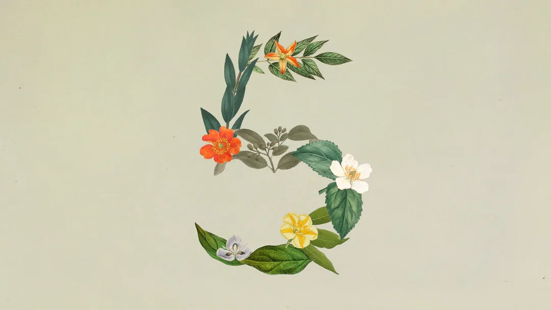Anthropic 官方 blog 入面用花同葉拼成數字 5 嘅 Sonnet 5 主圖