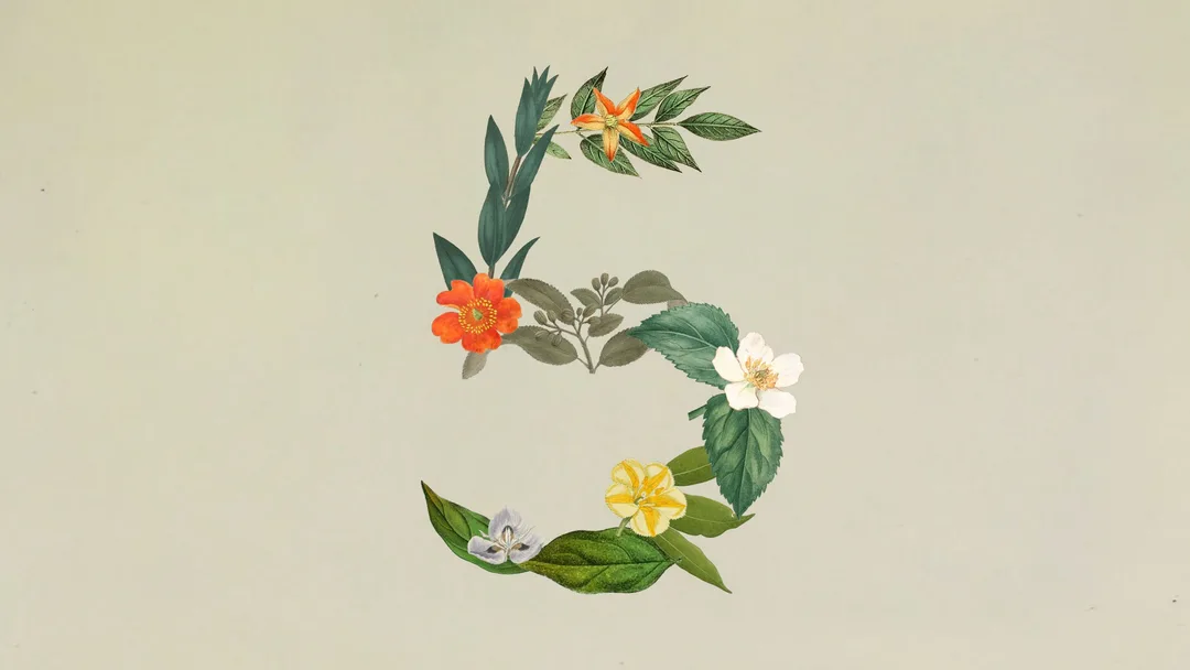 Anthropic 官方 Sonnet 5 發布圖,花枝排成 Claude 字母 C