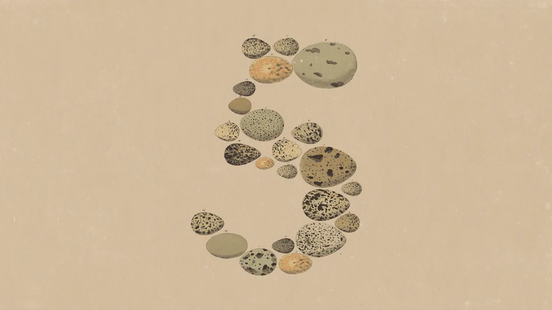 Anthropic 發布 Claude Opus 5 嘅官方主視覺