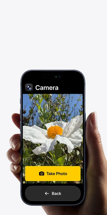 iPhone 顯示 Assistive Access 入面簡化咗嘅相機介面,按鈕同文字都放大