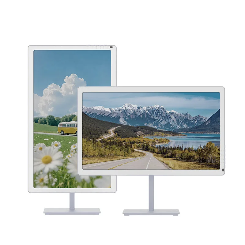 Bigme B251 Pro 彩色 e-ink monitor 橫直兩個擺位