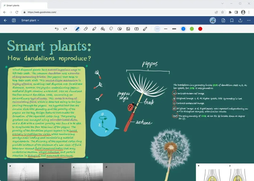 Goodnotes for Web 官方產品圖,顯示瀏覽器入面開筆記同手寫內容