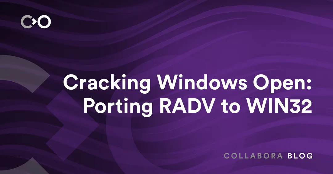 Collabora 為 RADV Windows 移植項目製作嘅主題圖片