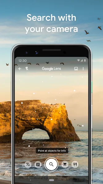 Google Lens 用手機鏡頭搜尋海邊岩石景物嘅介面