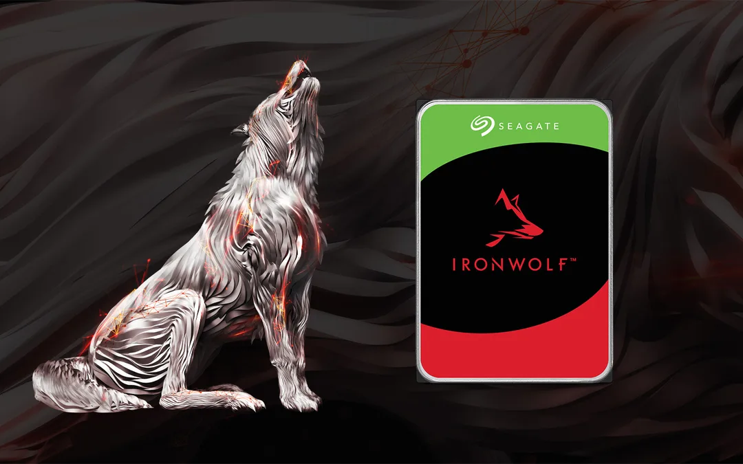 Seagate IronWolf NAS 硬碟同多槽 NAS 機身產品圖
