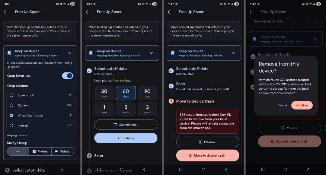 Immich 手機 app 清理已備份相片所佔空間嘅畫面
