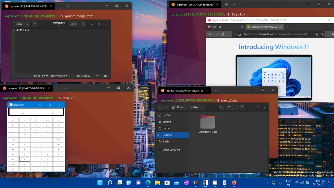 Windows 桌面同時開住多個 Linux GUI app 嘅畫面